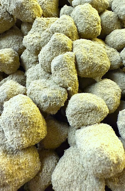A close-up of premium moon rock weed, showcasing dense, kief-coated cannabis nuggets with a thick layer of resinous trichomes for maximum potency.