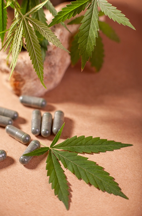 THC capsules placed on a brown background with a cannabis plant in the frame, showcasing the organic nature of cannabis oil capsules as a smoke-free alternative for long-lasting effects.