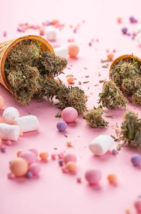 A waffle cone spilling out weed candy and cannabis buds onto a pink background, representing the sweet and potent experience of cannabis-infused candy.