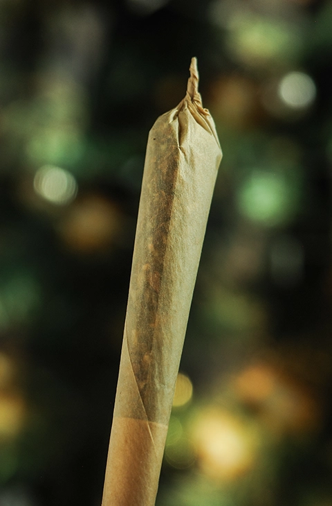 Close-up of a single cannabis pre-roll joint against blurred background – premium pre-rolls at Weed Market