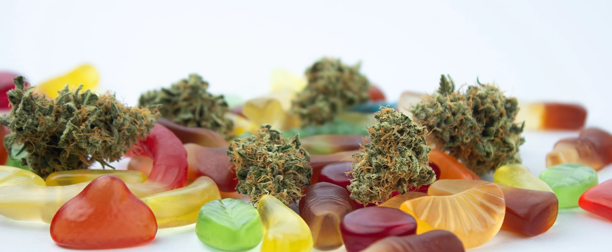 Assorted weed gummies and dried cannabis buds scattered on a white background, highlighting the contrast between edible and flower cannabis forms.