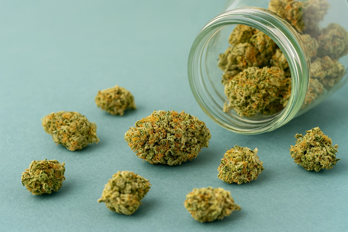 Discover Craft Weed Canada – Premium Craft Cannabis from Your Trusted Online Dispensary