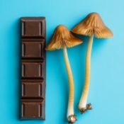 Magic mushrooms and chocolate bar on blue background