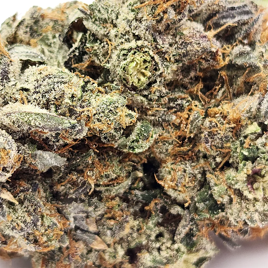 Pink Bugatti Strain Closeup