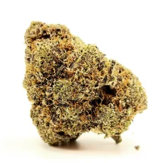 Razzberry Mint Strain