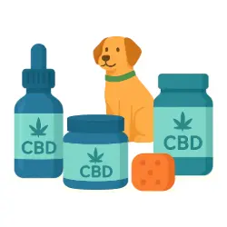 CBD pet products illustration with dog and CBD bottles