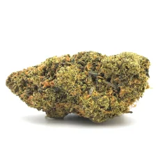 Blue Alien Strain 100% indica cannabis flower with dense green buds and visible trichomes from Weed Market