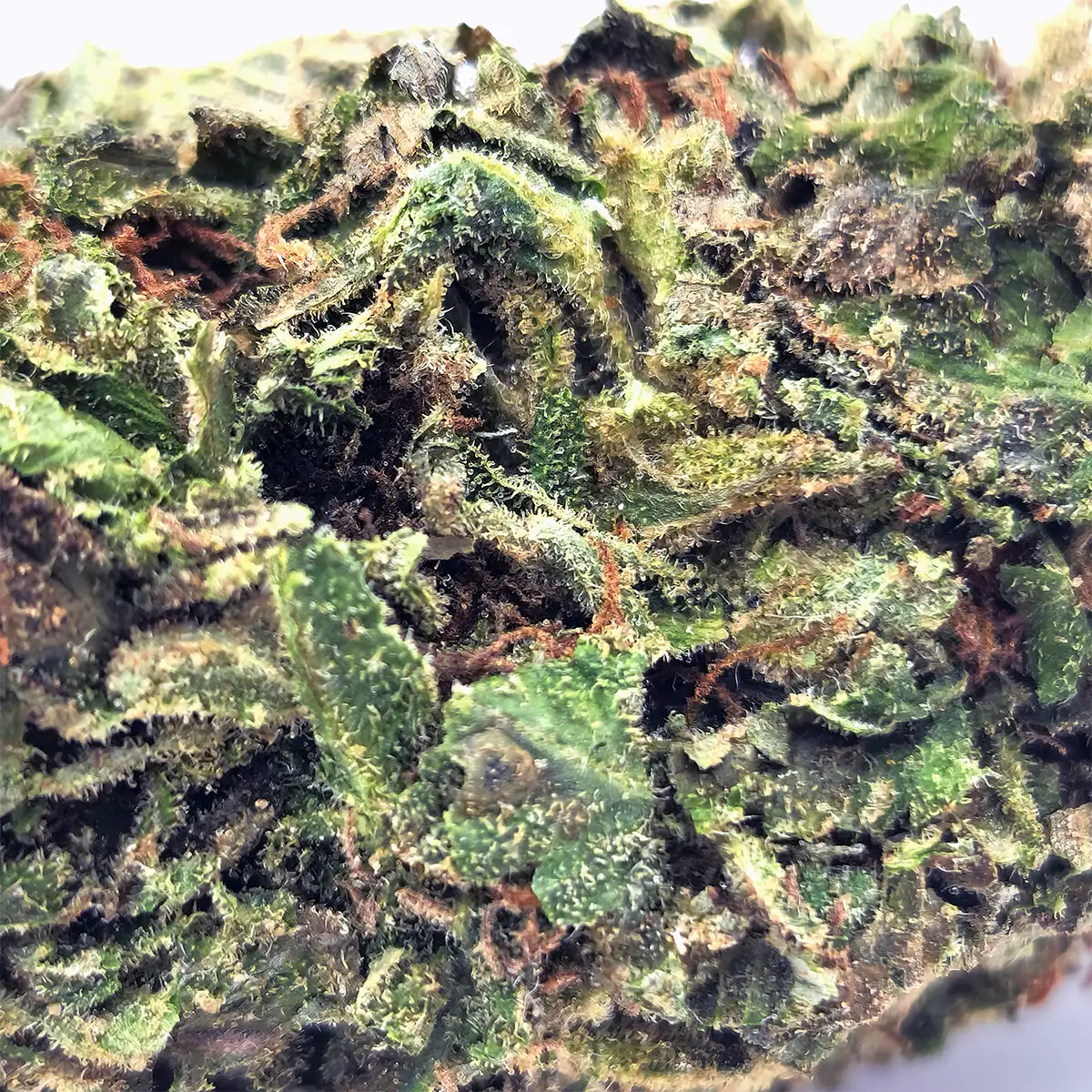 LA Confidential - Image 2