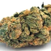 Pie Face Strain Closeup