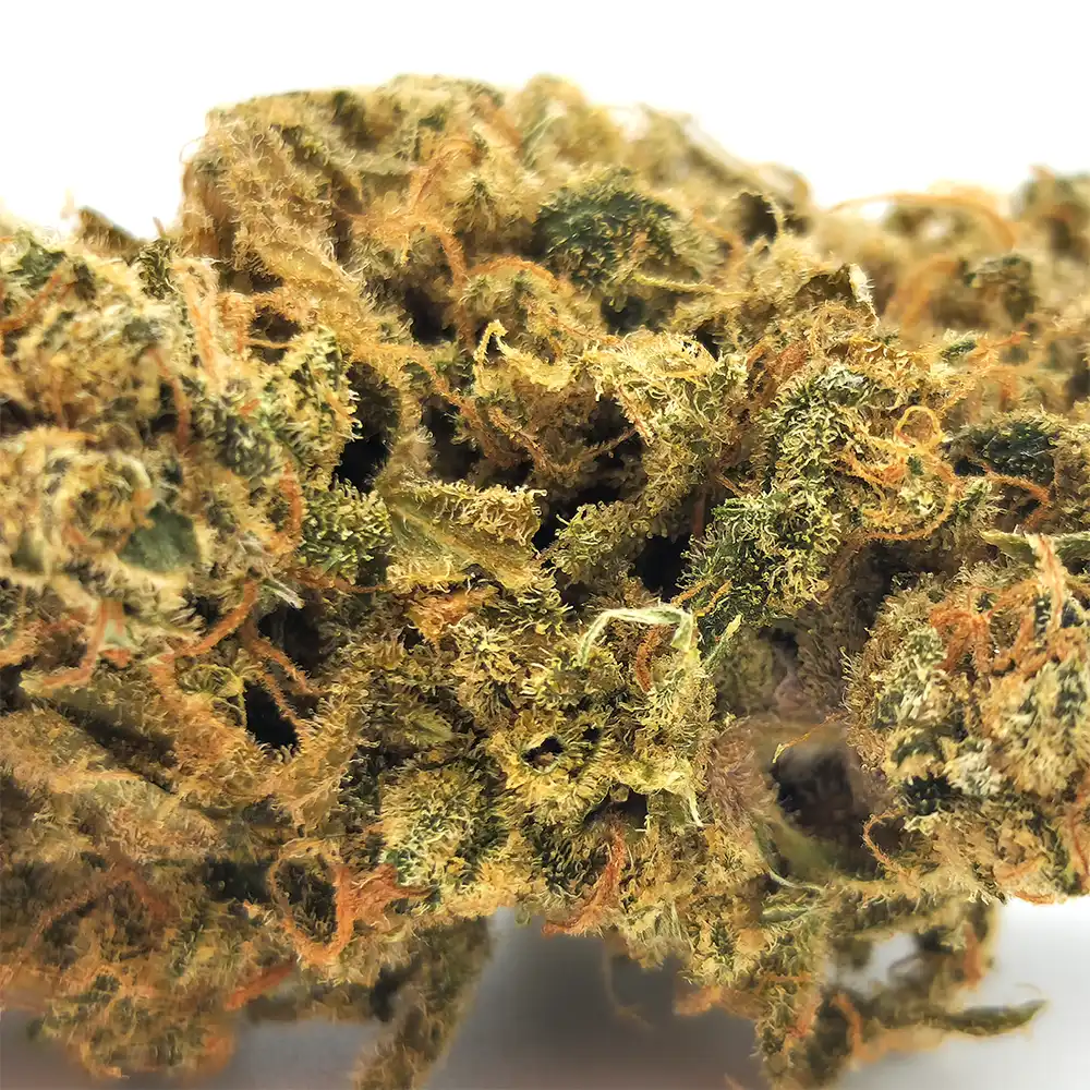 Super Lemon Haze Strain Closeup