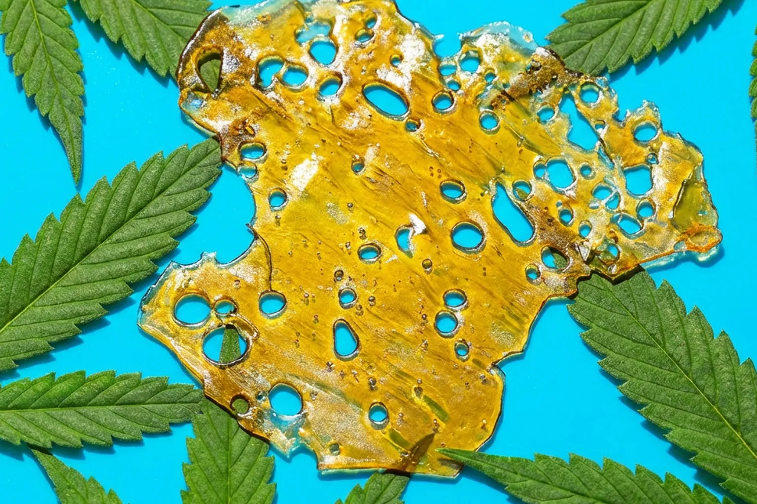 Golden cannabis shatter sheet with natural bubbles on bright background, shatter highlighting texture differences, shatter vs other cannabis concentrates