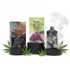 Burn Dual Chamber Vape 6g