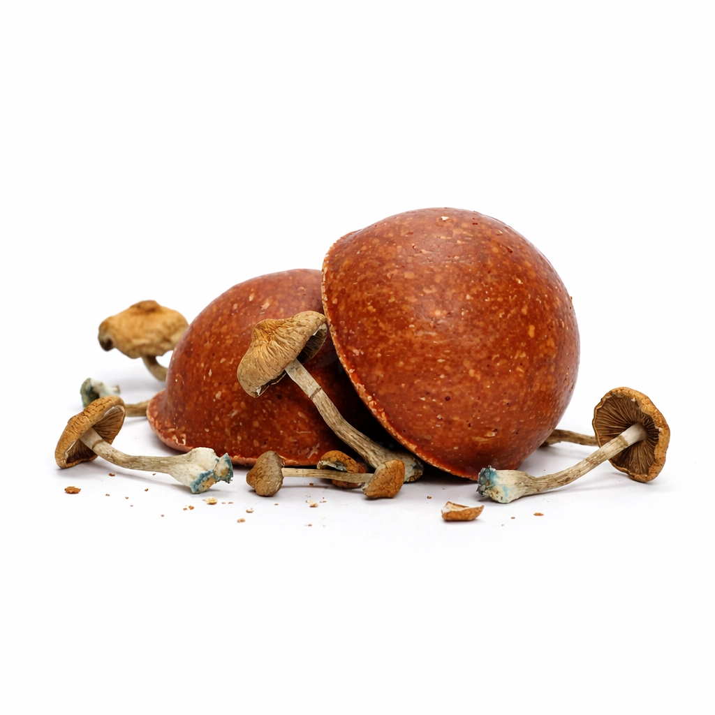 Euphoria Psychedelics Psilocybin Hazelnut Bites - Image 2