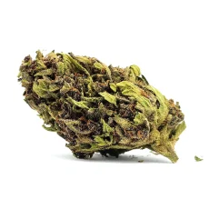 Glookies Strain
