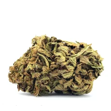 Shishkaberry Strain