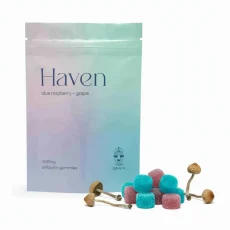 Haven Blue Raspberry Psilocybin Gummies