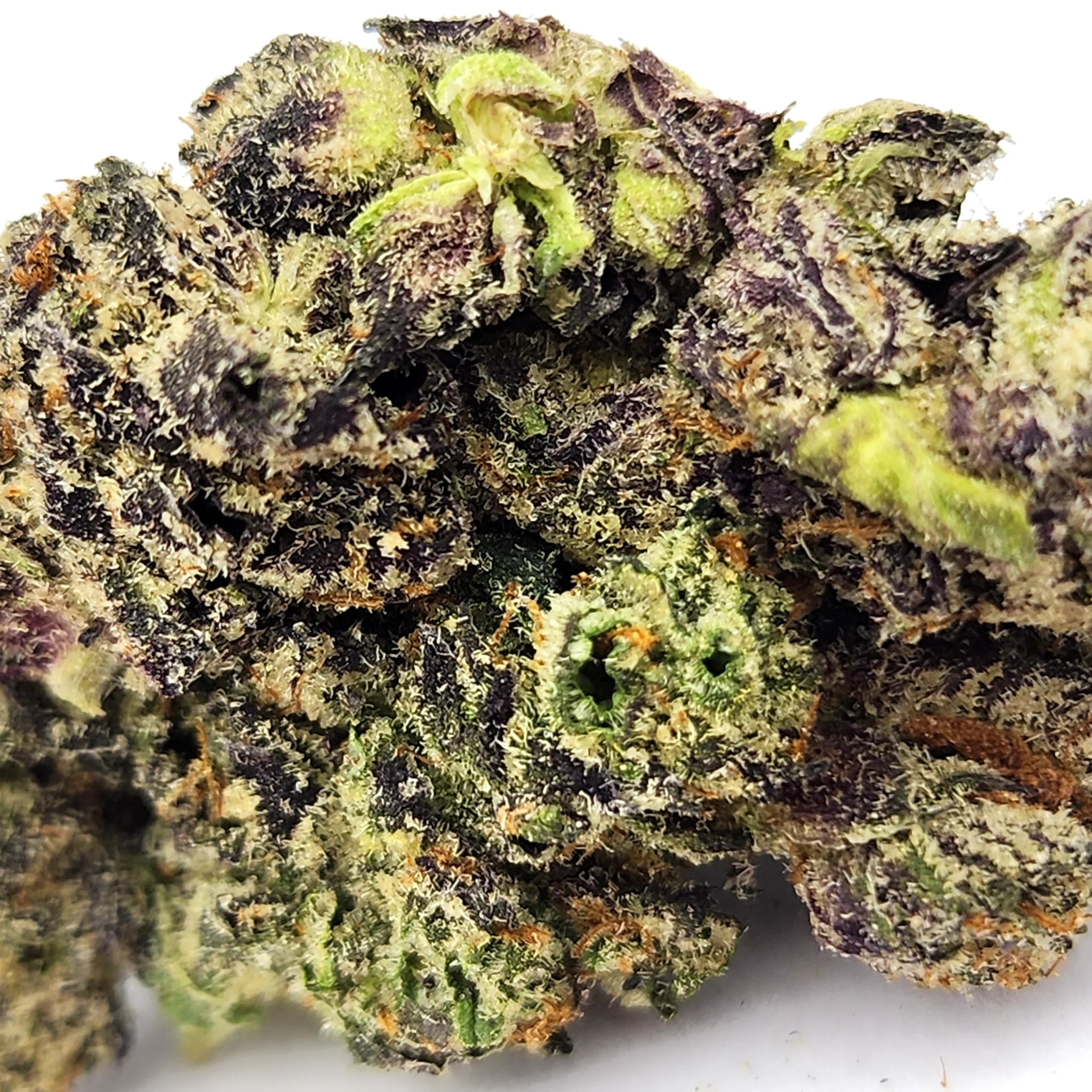 Black Truffle Weed Strain Closeup