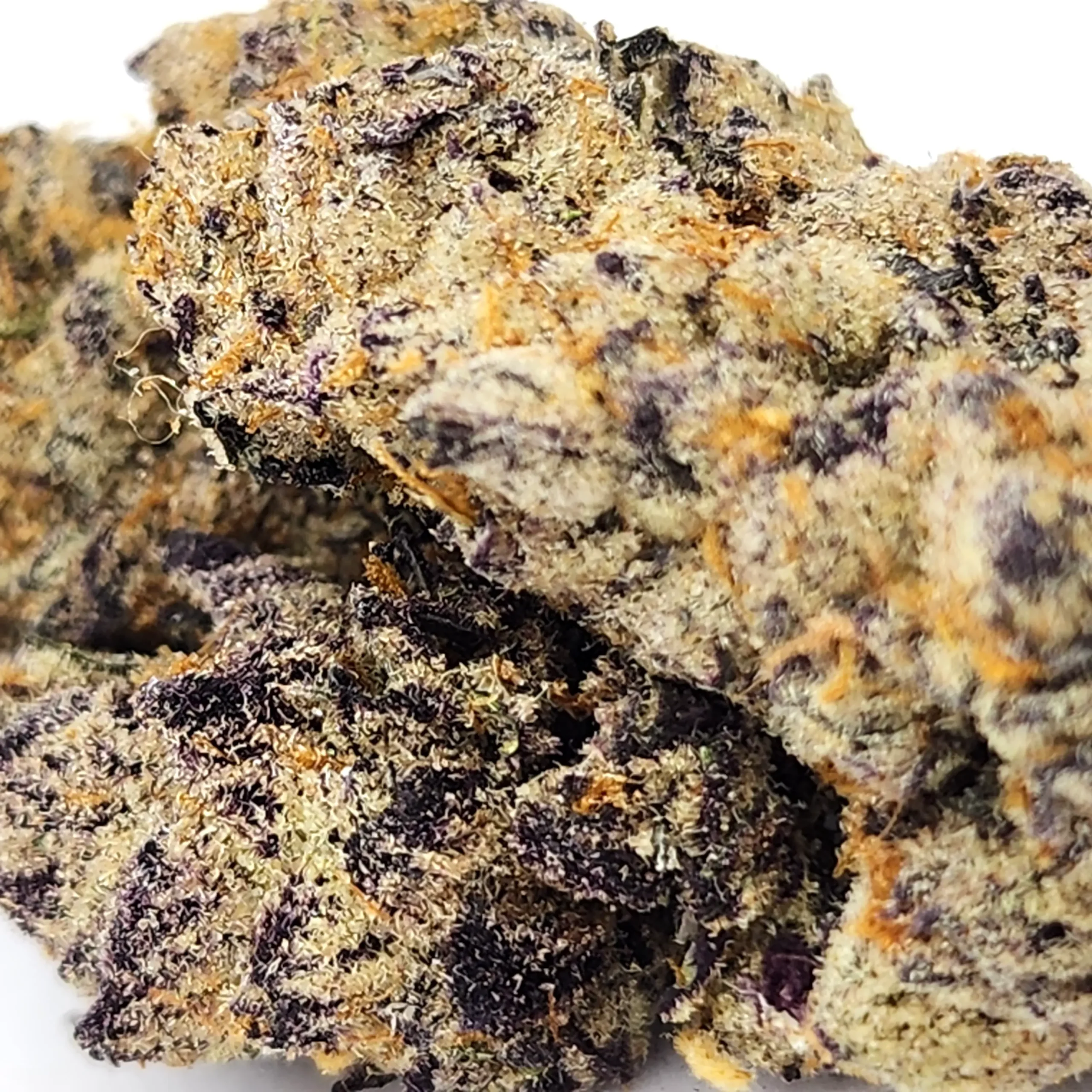 Frosted Gelato Weed Strain Closeup