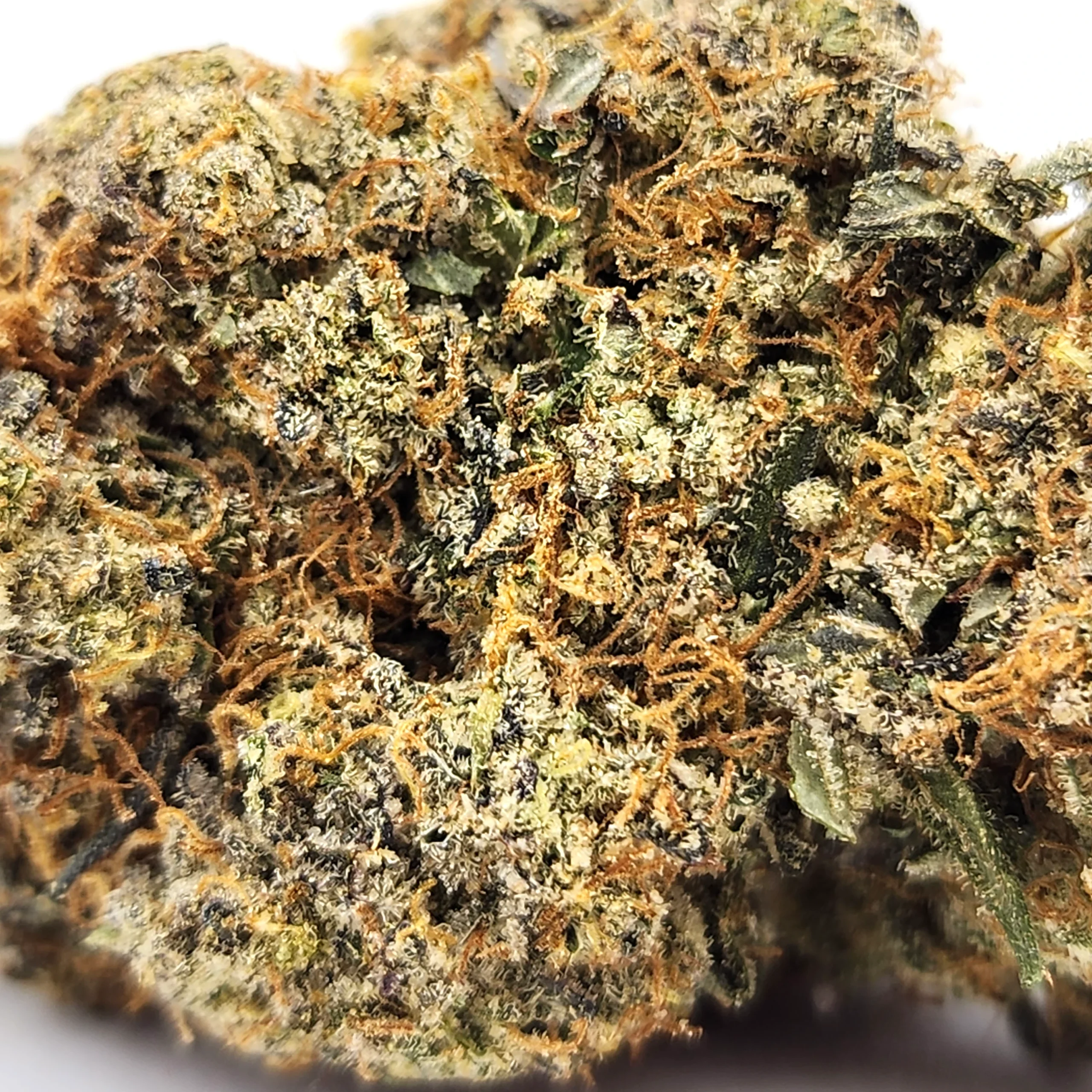 Maui Waui Weed Strain Closeup