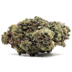 Afghani Strain