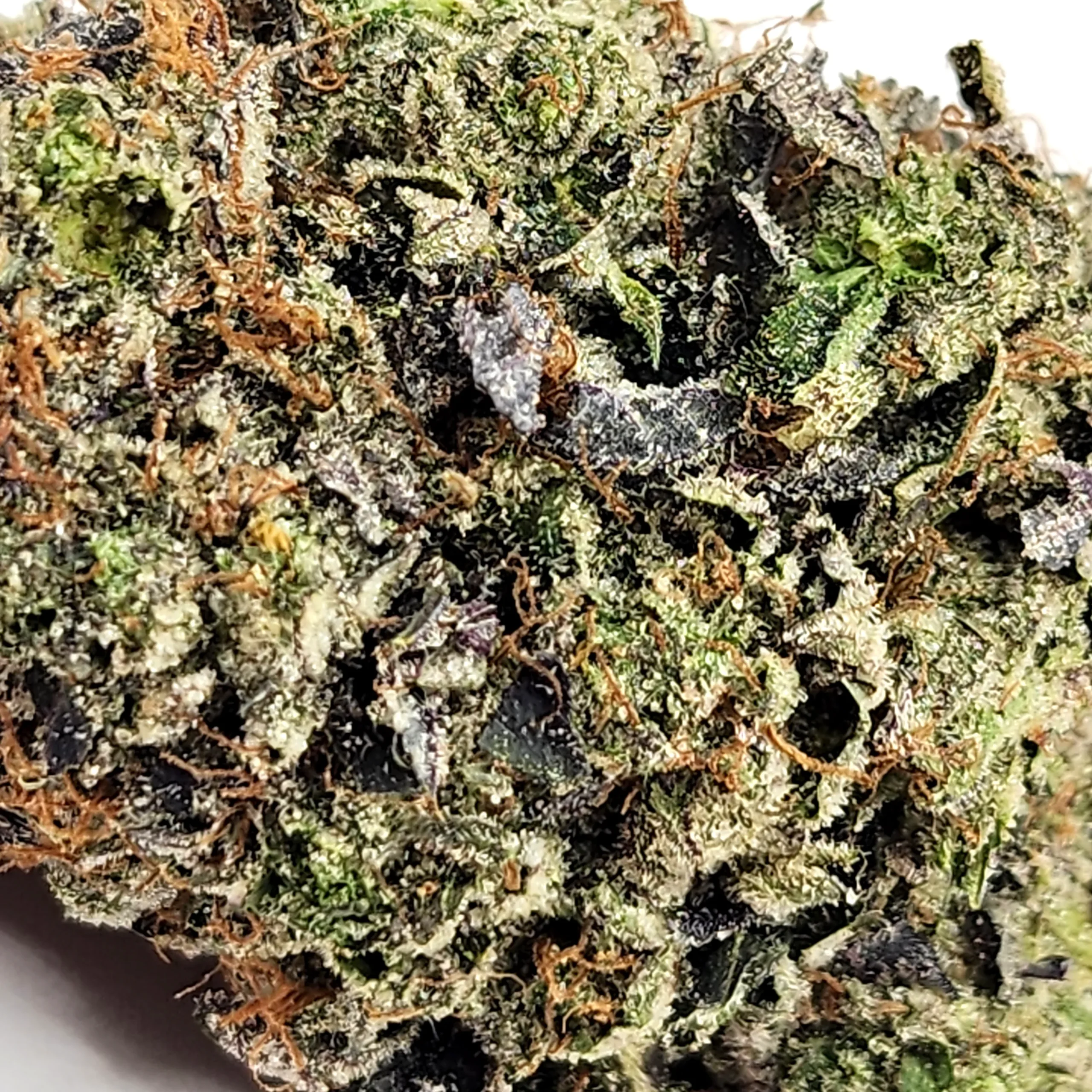 Ghost Gasoline Weed Strain Closeup