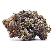 Nirvana Kush Strain